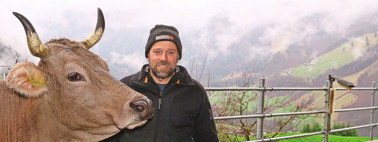 Langlebige und gesunde Kühe, die nur mit betriebseigenem Futter Milch produzieren, sind das Zuchtziel des Nidwaldner Biobauern Willi Ambauen.