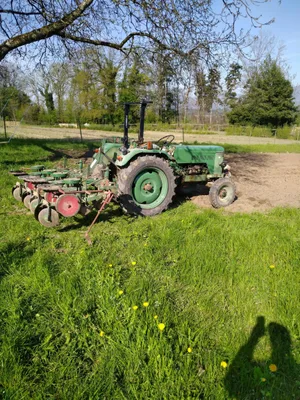 Friedrich Thuner setzt den Bührer OF 18 neben üblichen Transportaufgaben insbesondere im Kartoffelbau zum Pflügen, Fräsen, Pflanzen, Pflegen und Ernten ein. Pro Jahr sei dieser rund 30 Stunden im Einsatz.