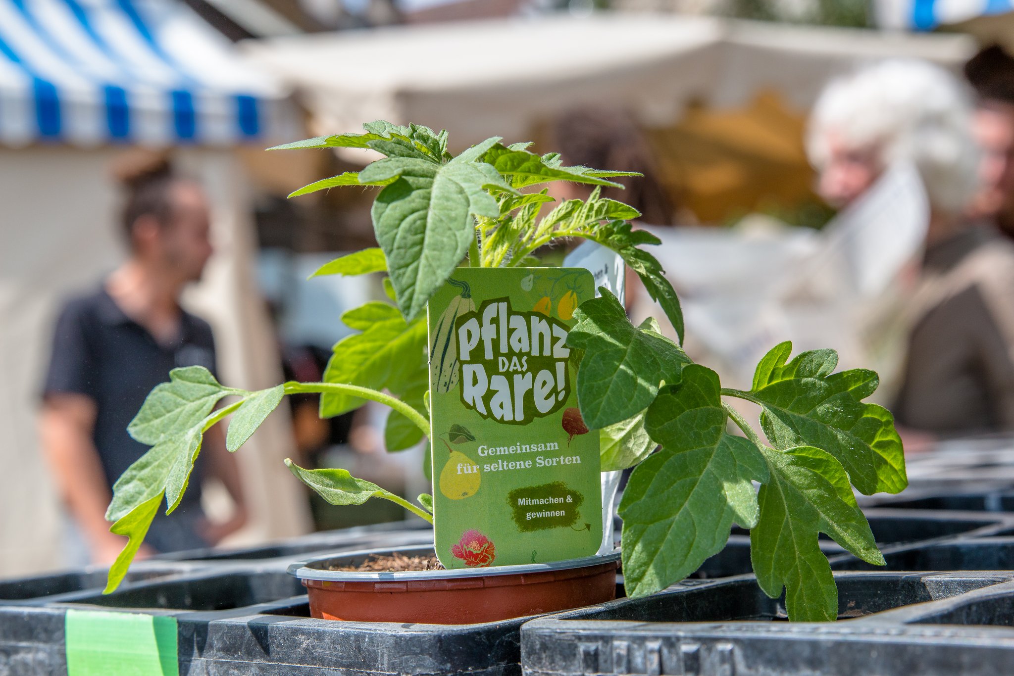 «Pflanz das Rare» kommt an