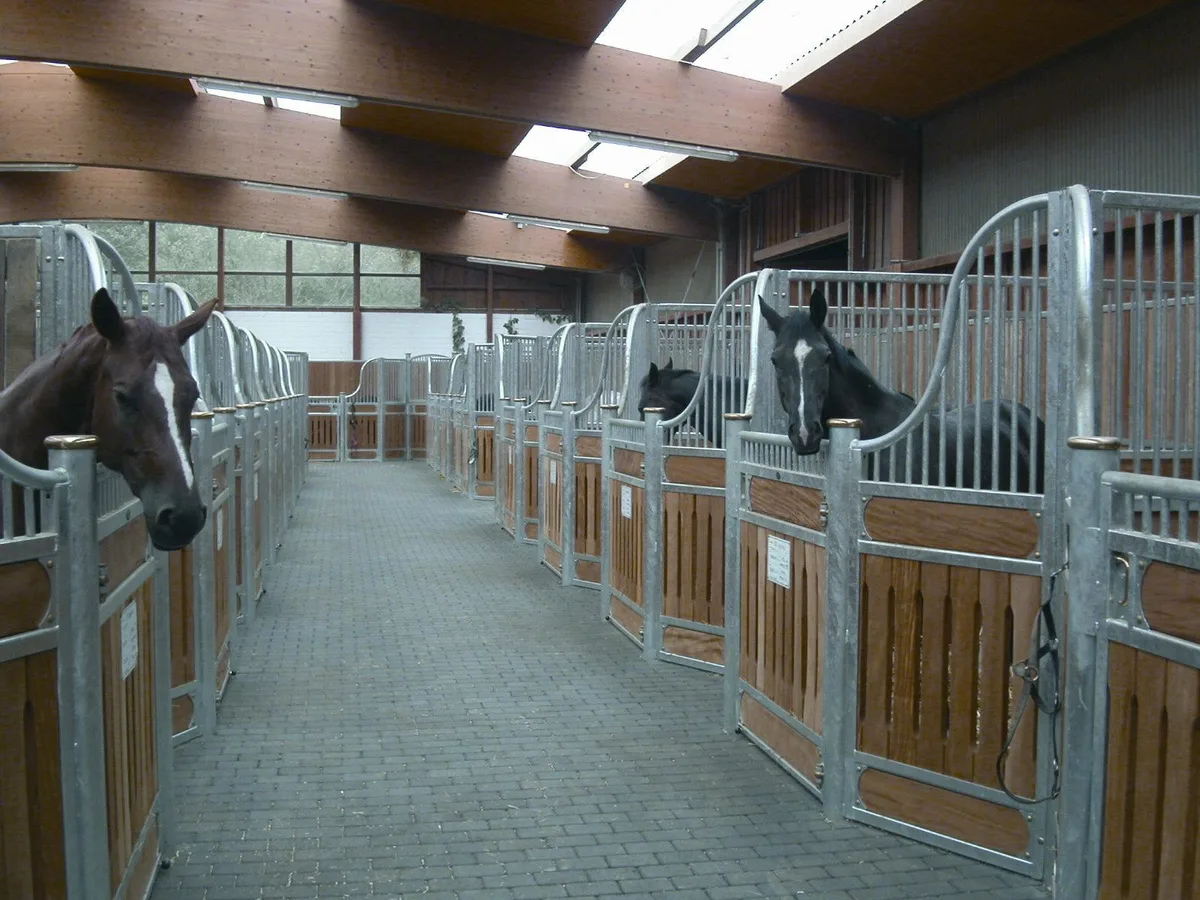 869eb532537ae2dd61707383a07c5f4b8e667850 Gemäss dem Schweizerischen Tierschutz STS verbringen die meisten Sportpferde 20 bis 23h im Stall in Einzelboxen. (Bild Horseexperts, Wikimedia)