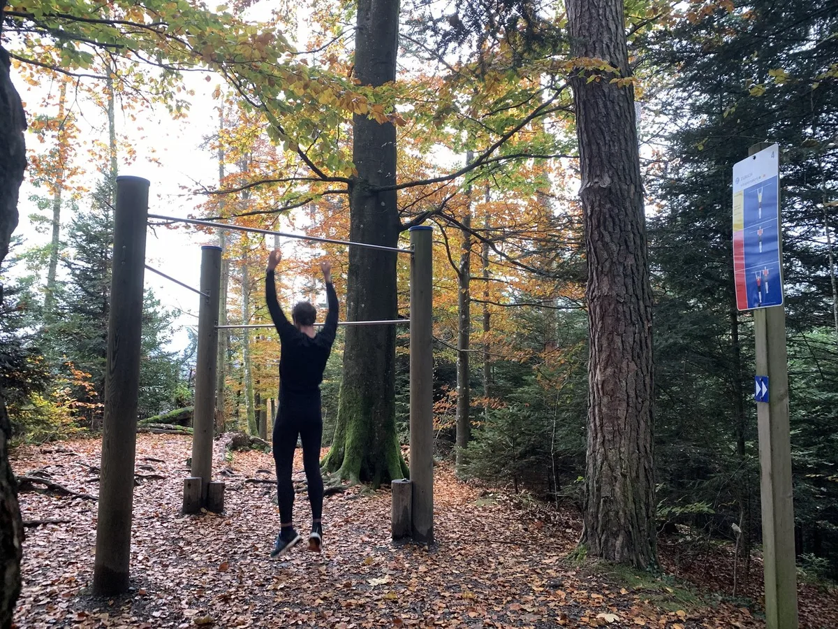 Vita_Parcours_Wald Bundesrat verabschiedet integrale Wald- und Holzstrategie 2050: Schutz, Nutzung und Biodiversität im Fokus