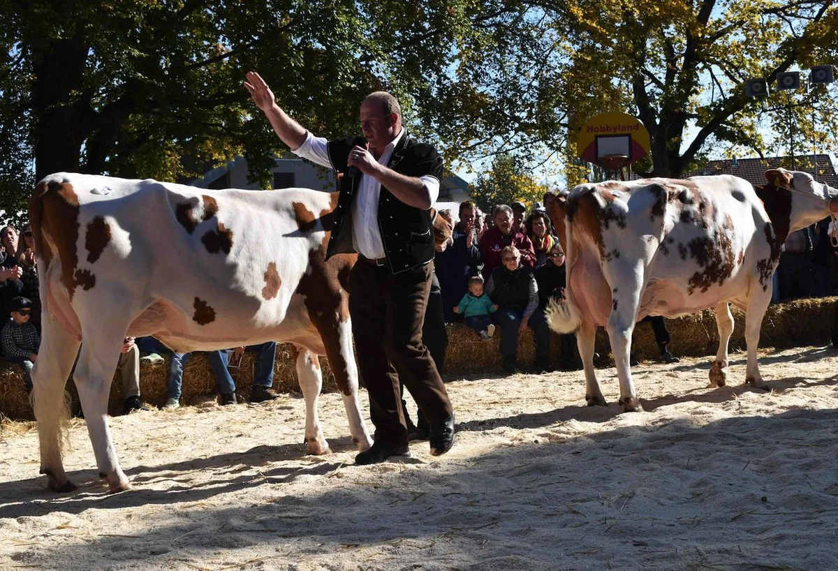 bu__rki Ein Böser ist neuer Schaupräsident