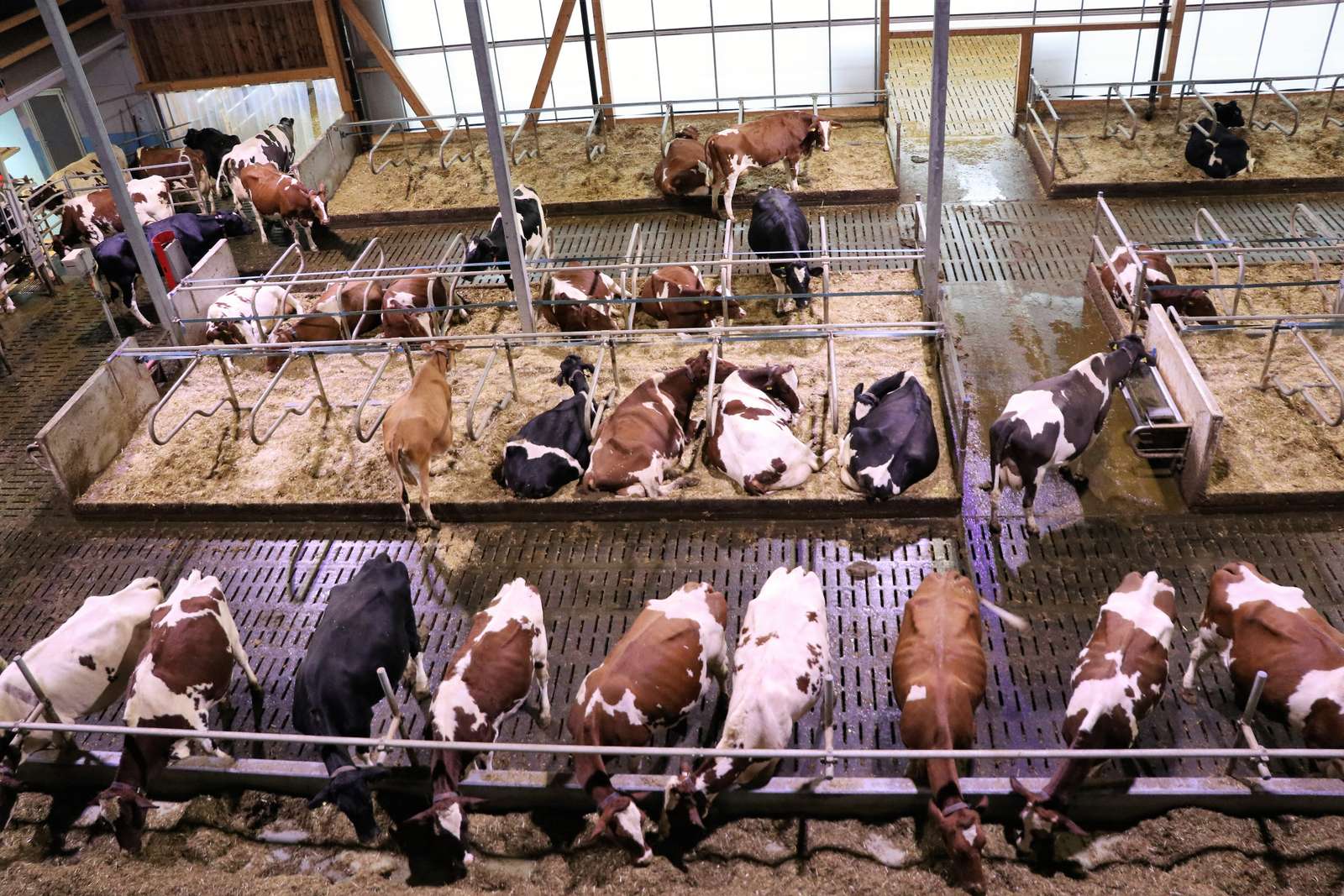 Direktzahlungen: Bei Bagatellfällen gilt künftig Milde