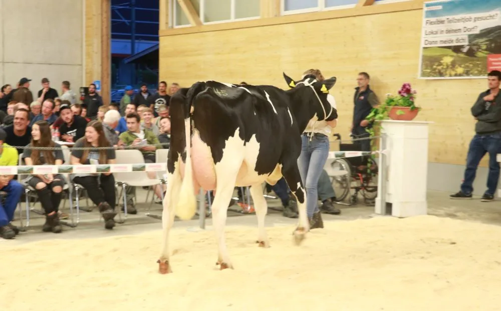 144c6157e3dc4ad2e5a0afa4abd1663a7346685d Kaeser Pinch Basilea wechselte für 6000 Franken die Hand. (Bild Ruth Aerni)