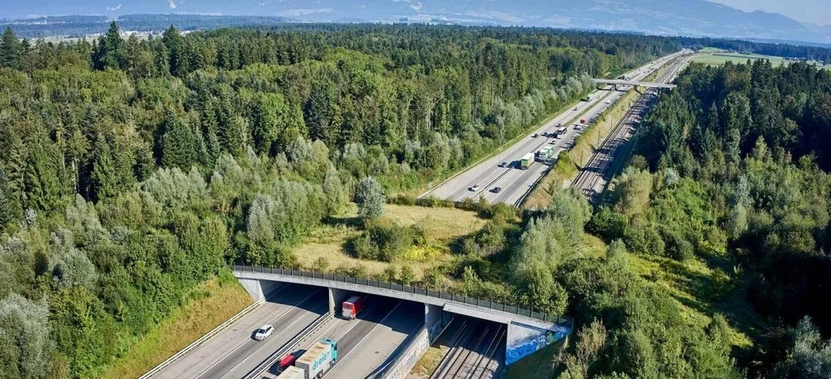 wildtierbruecke_kirchberg_c_bafu Wildtierkorridore im Kanton Luzern: Herausforderungen für Landwirtschaft und Naturschutz