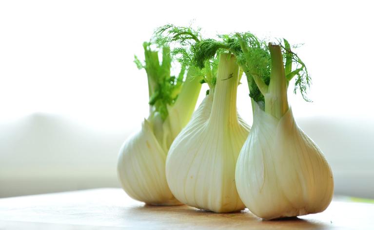 In der Schweiz hat der Fenchel von Mai bis November Saison. (Bild pd)