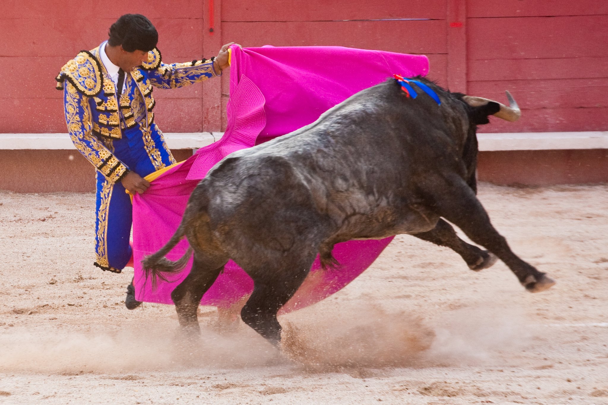 Die Toreros sind nach zweijähriger Zwangspause zurück auf Mallorca. (Bild Wikipedia, Jean-François Le Falher)