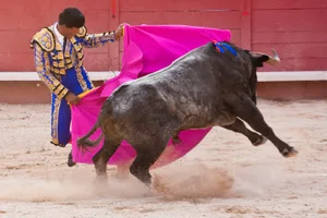 Die Toreros sind nach zweijähriger Zwangspause zurück auf Mallorca. (Bild Wikipedia, Jean-François Le Falher)
