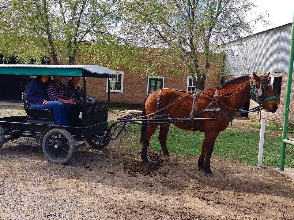 Egon Tschol, wie er mit seiner Frau und seiner Tochter auf dem Einspänner-Buggy einer Mennoniten-Familie durch die sandige Hauptstrasse der Kolonie fährt.