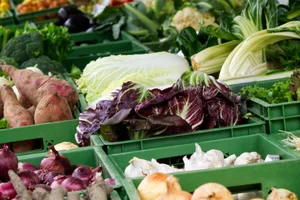 Bei den Überlegungen, ob es sich lohnt, auf Bio umzustellen, muss klar sein, wie die Produkte vermarktet werden: Direkt oder über Grossverteiler?