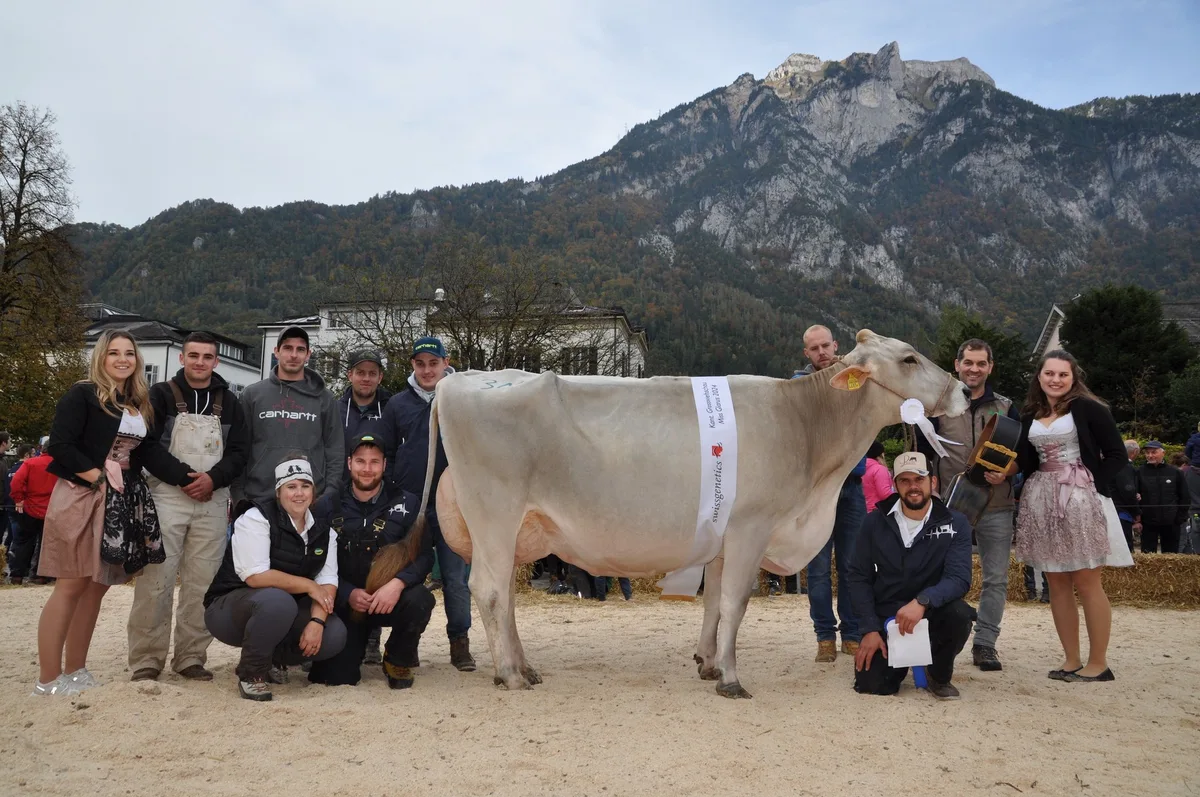 OS_42_E_GlarnerViehschau_MissGlarus Titelverteidigerin Peggy-Sue ist erneut Miss Glaris