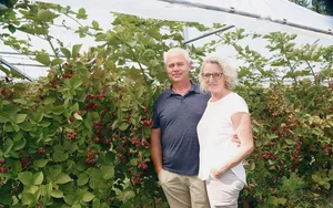 Franz Krummenacher und Yvonne Thali in ihrem Beerenparadies.