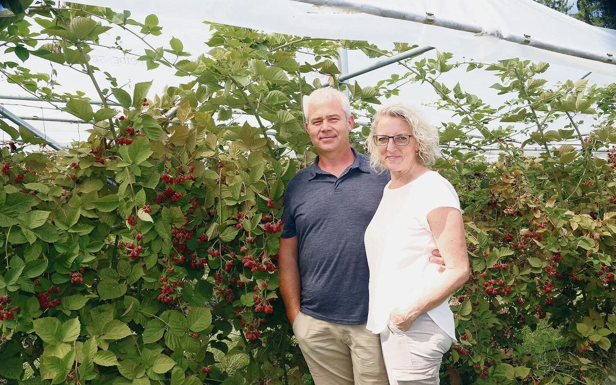 a538f5f7d13938030badee5a18b59f1b423f411250fff6208fcdf1c70a384512 Franz Krummenacher und Yvonne Thali in ihrem Beerenparadies.