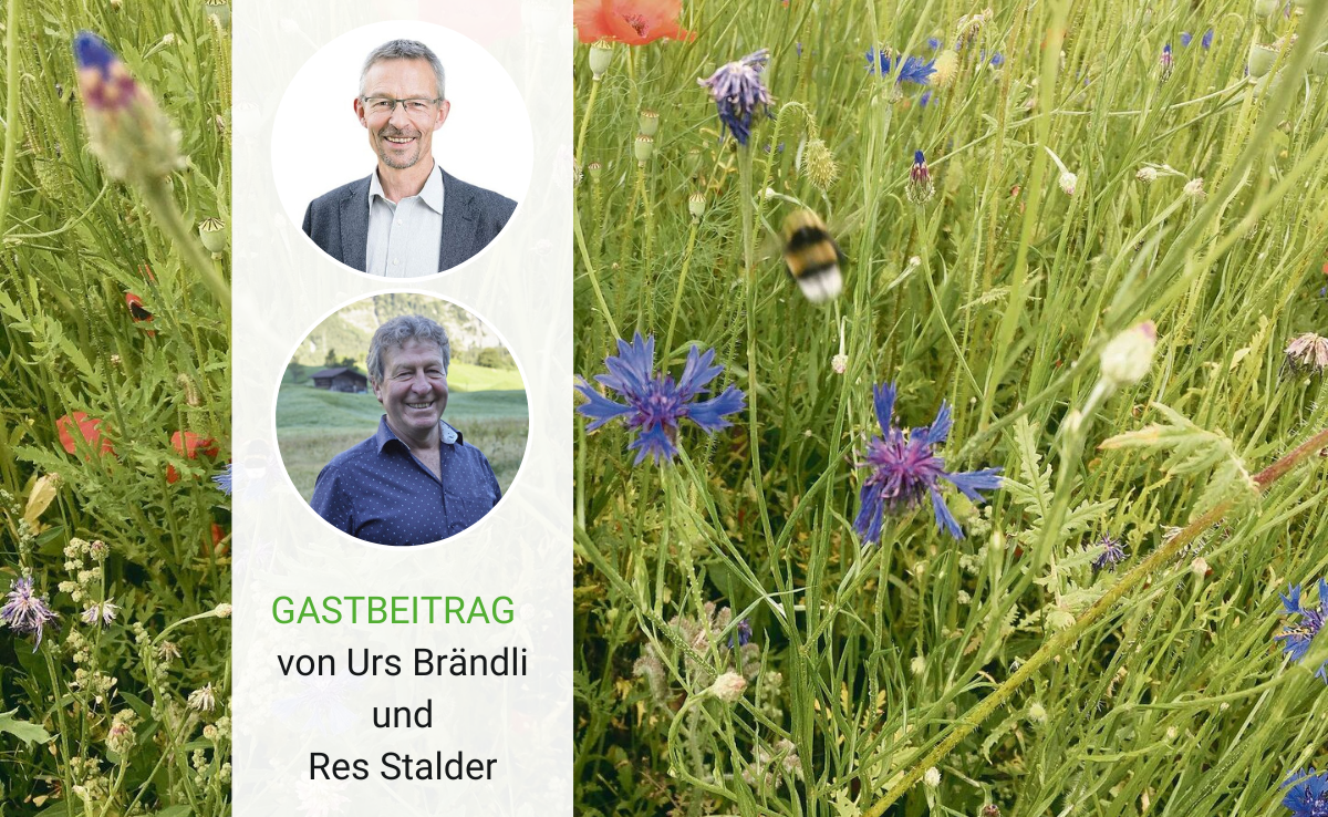 IP-Suisse und Bio Suisse wollen «eine starke, glaubwürdige und umsetzbare Biodiversitätsförderung»
