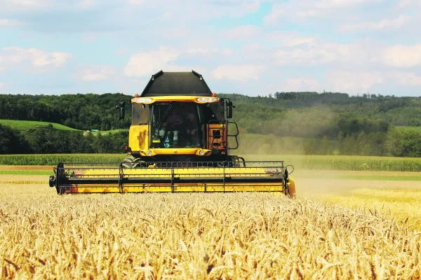 bc777b6729393abd39898c564ef7eb6a14639cb2 Die Ernte war gut, die Lager sind voll. Deshalb fordert IP-Suisse von den Bauern, im Herbst weniger Brotweizen zu säen. (Bild Hans Rüssli)