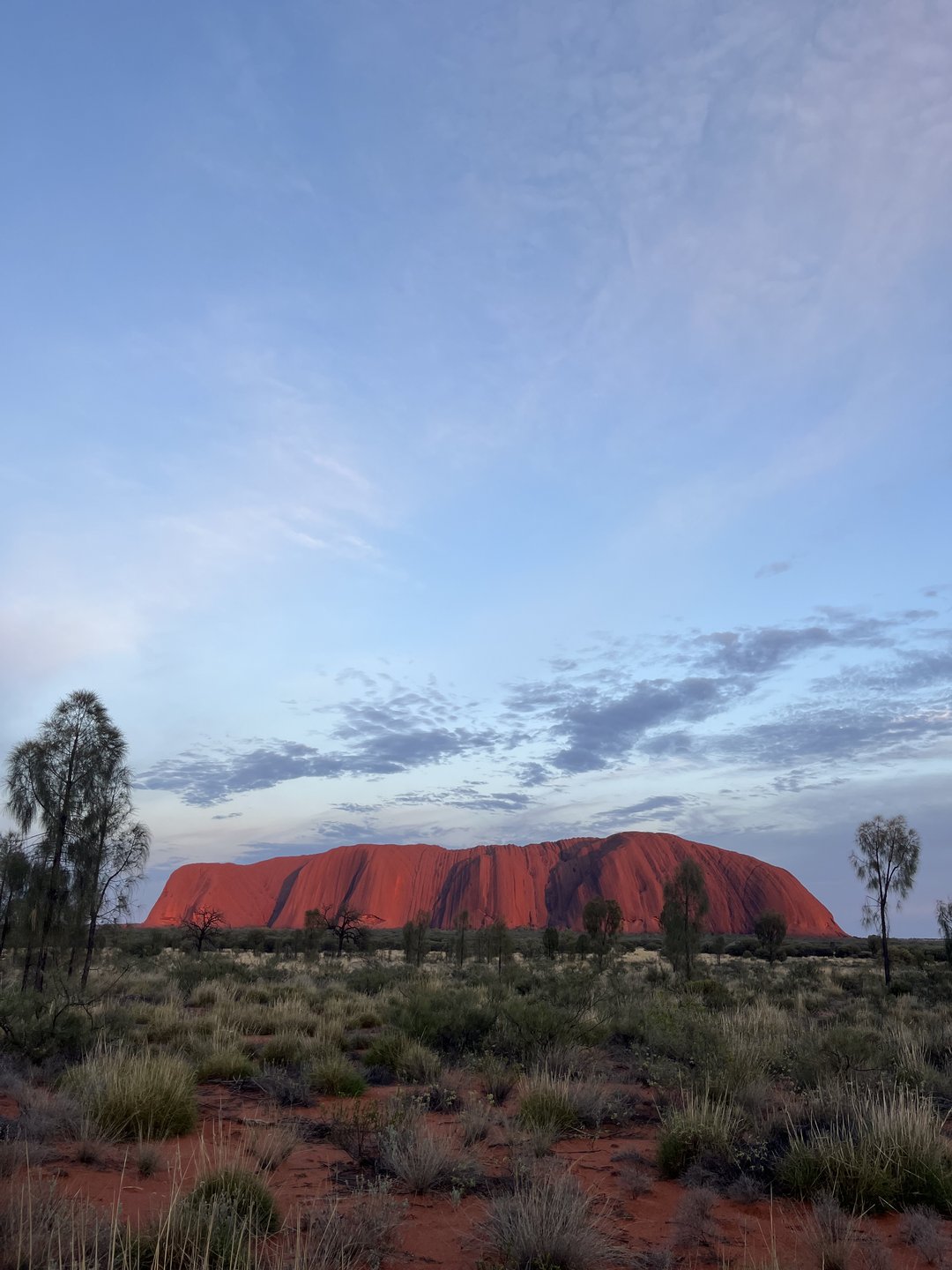 Das waren die 10 Highlights der dreiwöchigen Leserreise nach Australien