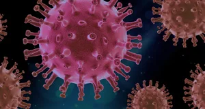 Das Corona-Virus wütet in einer deutschen Fleischfabrik. (Symbolbild Pixabay)
