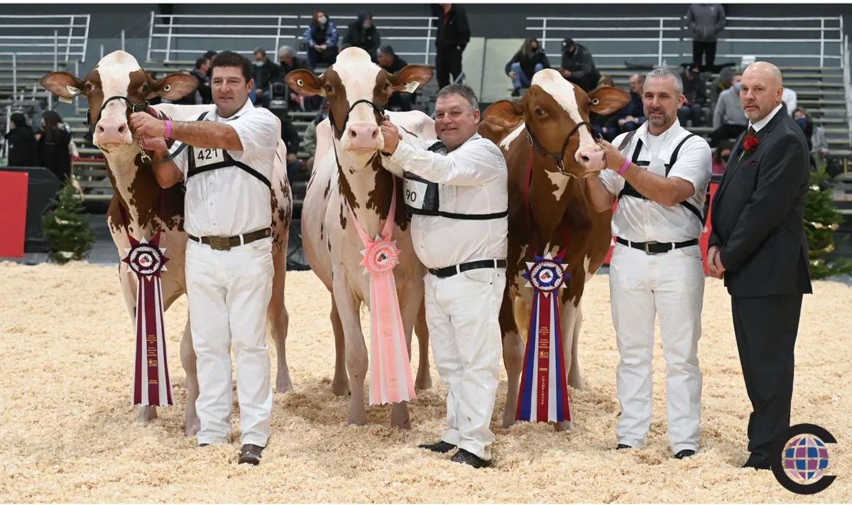 dcs_2_siegerbild Unstopabull-Tochter siegte bei Red Holsteinschau an der Royal Winter Fair
