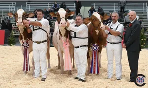 Die Championnewahl (v. r. n. l.): Championne: Blondin Rd Unstopabull Maple, Reserve: Etel Avalanche Pam und die Mention Honorable
Aija Avalanche Kala.