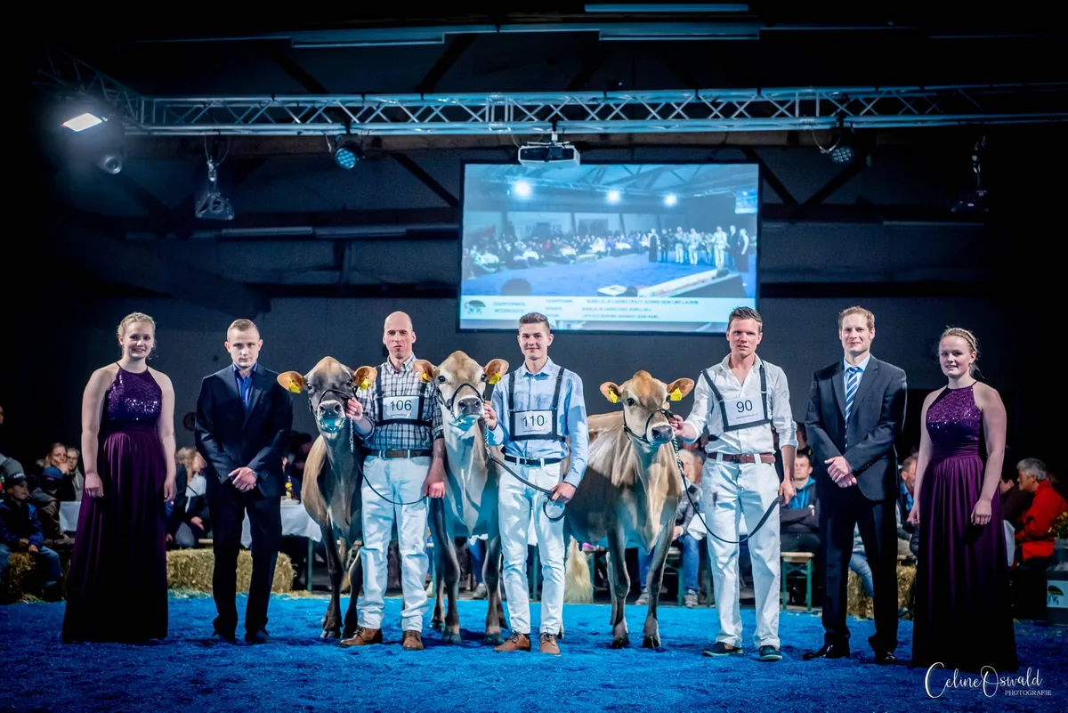 Intermediate_Champions Überragende Tiere an der Swiss Jersey Night in Zug
