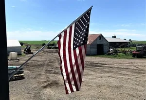 In den USA hat sich die Lage am Fleischmarkt zugespitzt. (Bild mr)