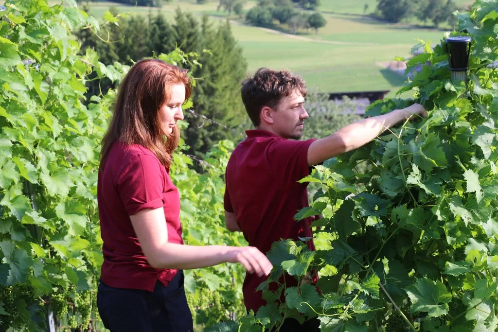 NS-A-31-SommerserieWein3 Mit viel Herzblut und Experimentierfreude zur eigenen Weinkellerei