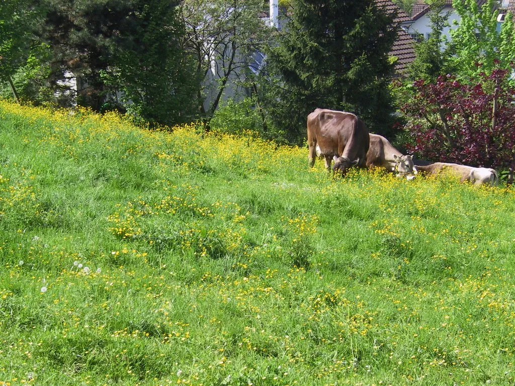 Den Futterberg optimal bewältigen