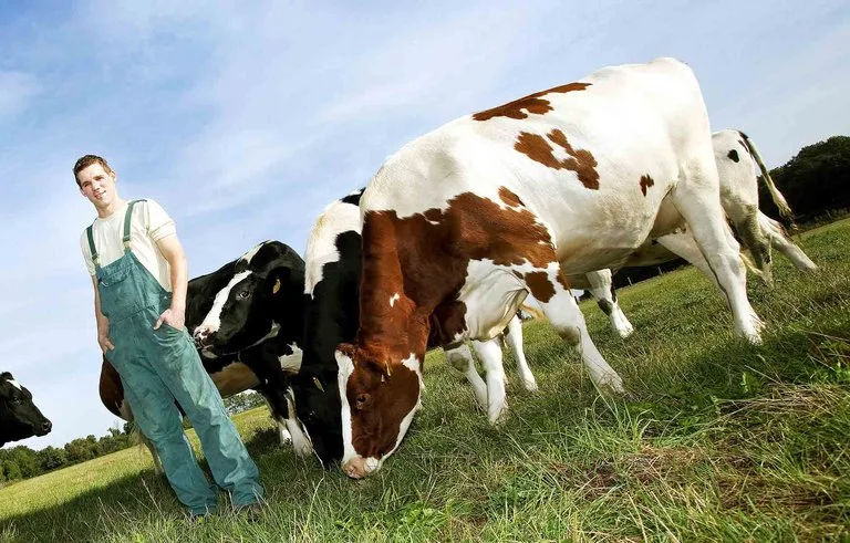 9684f9f42c95f44b38a06adeeb6bfa23230c23b0 Der Bauernverbund fordert, die klein strukturierte Landwirtschaft in Österreich nicht südamerikanischen Rinder- und Zuckerbaronen zu opfern. (Bild Eileen Gruschka/landwirtschaft.ch)