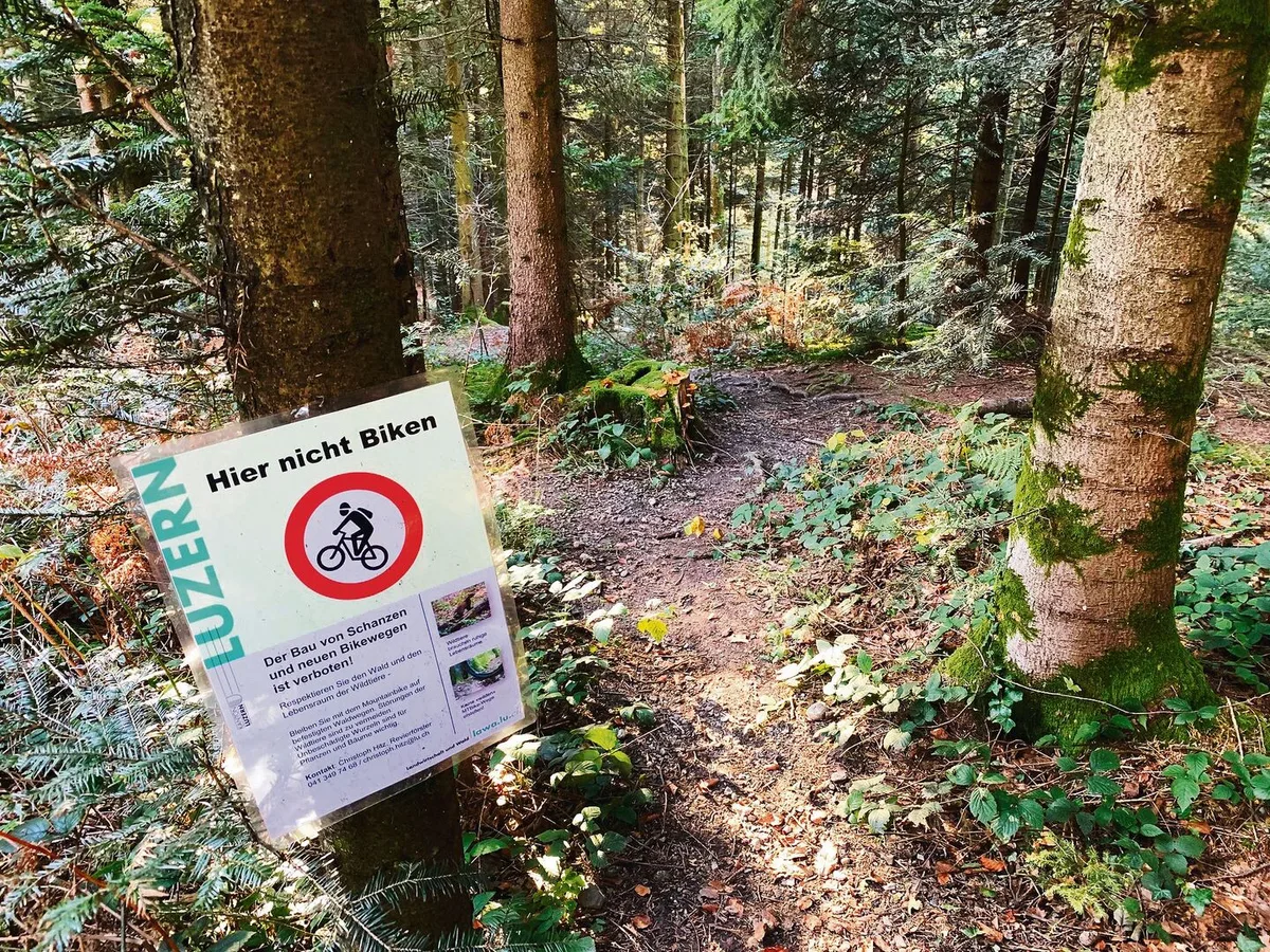 69c6318aea5963691699d3367b41e3828f6dfa2cdd00117ce705e30221b89f58 Lenkung von Mountainbikern soll zunehmende Konflikte reduzieren