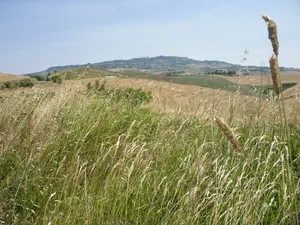 Die Toskana in Italien ist – im Gegensatz zum «Wasserschloss Schweiz» – nicht für saftige Wiesen bekannt. Die hiesige Landschaft gleiche sich aber immer mehr an diese trockenen Talschaften an.