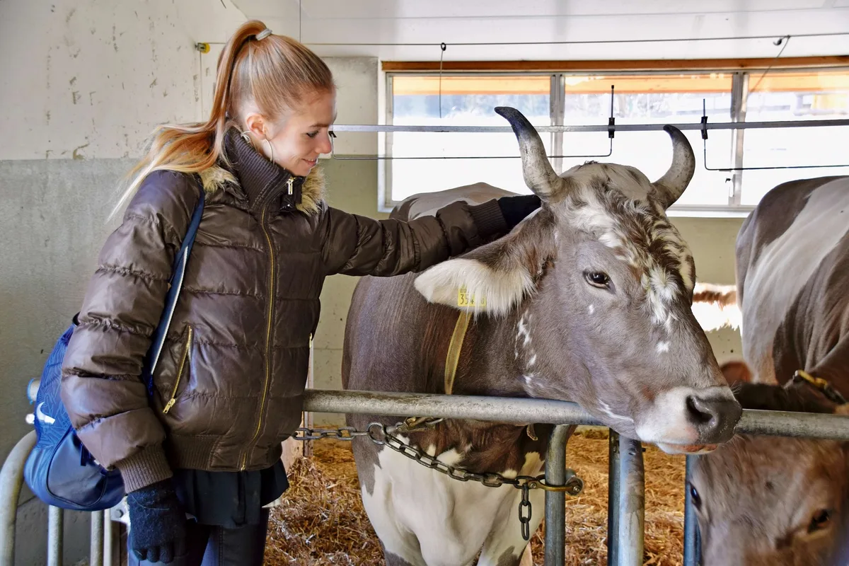Meret Schneider in einem Kuhstall.