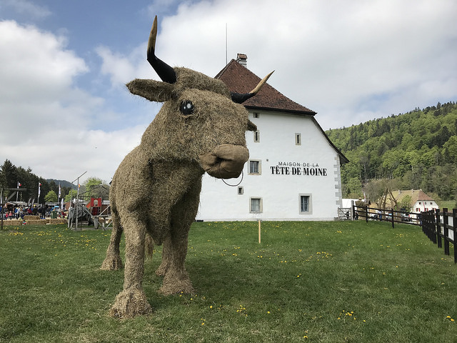 Eindrücklich: Der überlebensgrosse Stier aus Heu. (Bild jr)