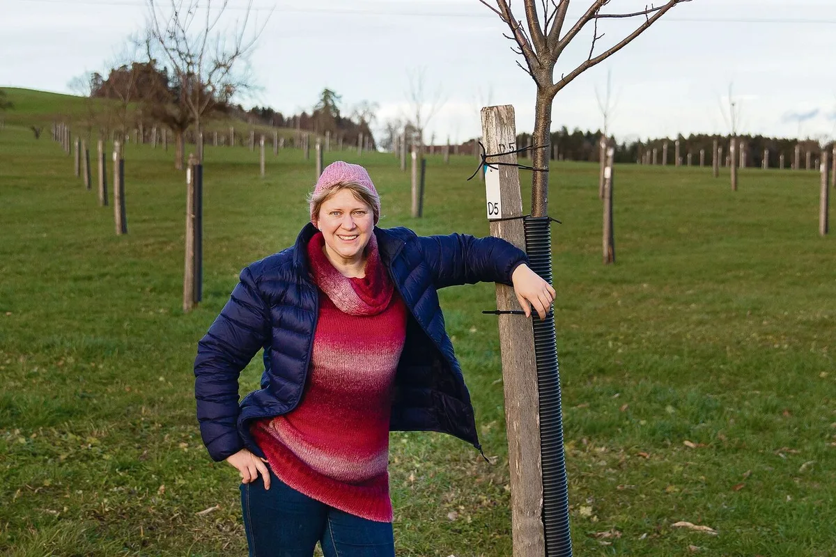 Sharon Holenstein ist stolz auf ihre Kastanienbäume: Auf einer Fläche von fünf Hektaren hat sie 352 Bäume gepflanzt. Dieses Jahr konnte sie 150 Kilo Edelkastanien ernten.