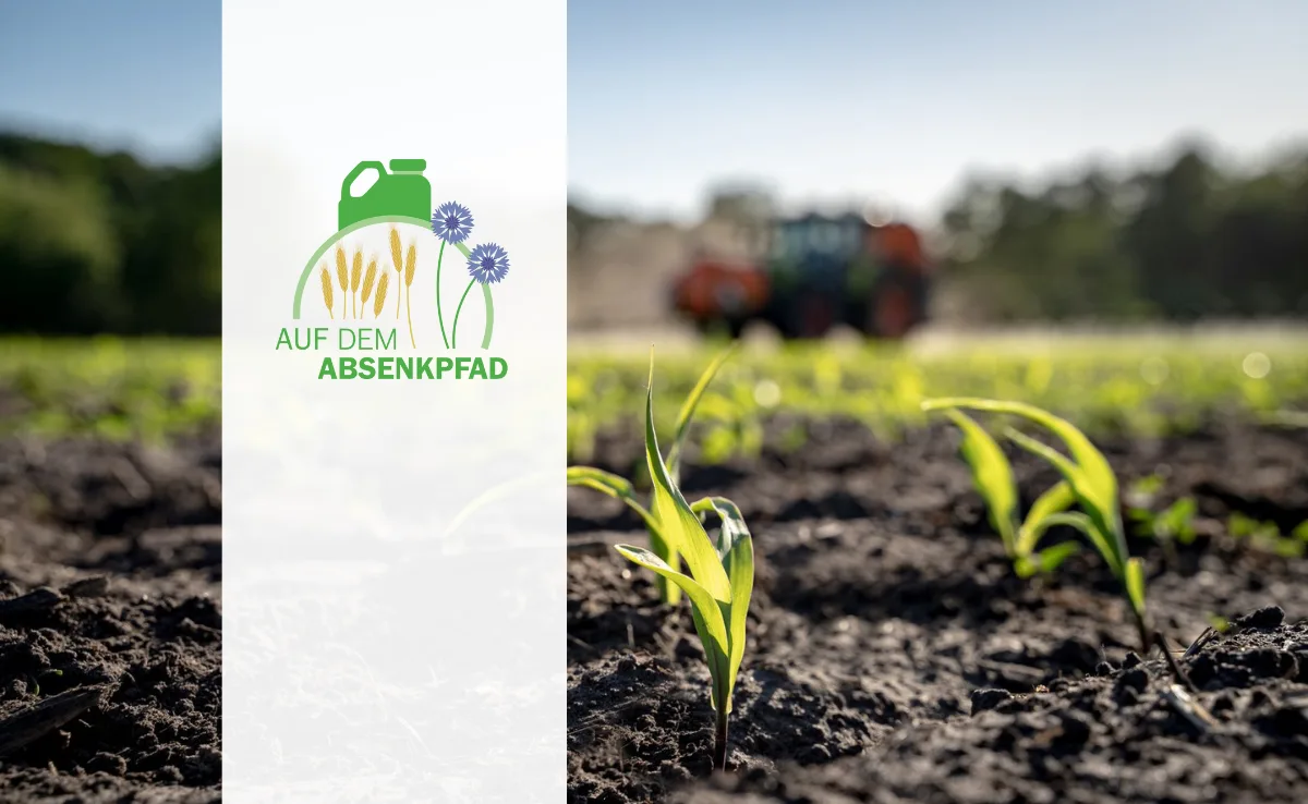 Absenkpfad – alle Neuerungen auf einen Blick
