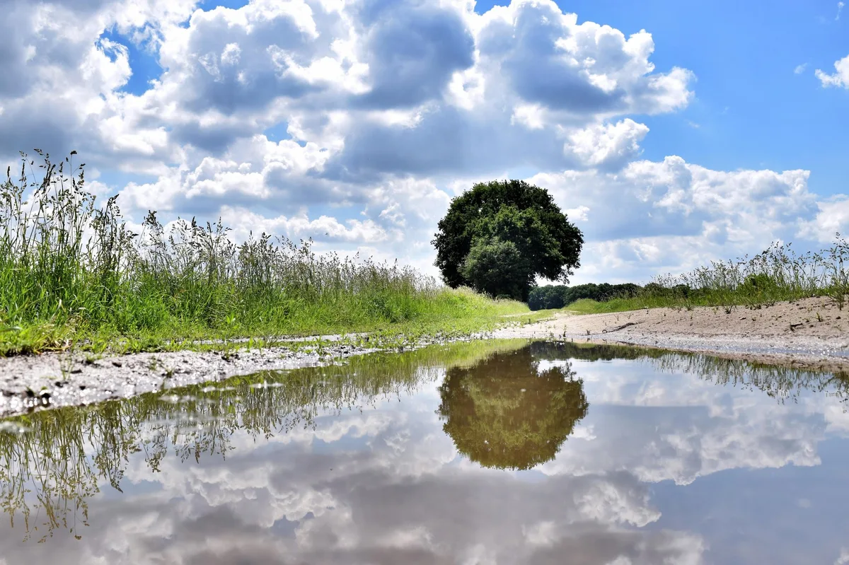 Der Regen brachte regional etwas Entspannung