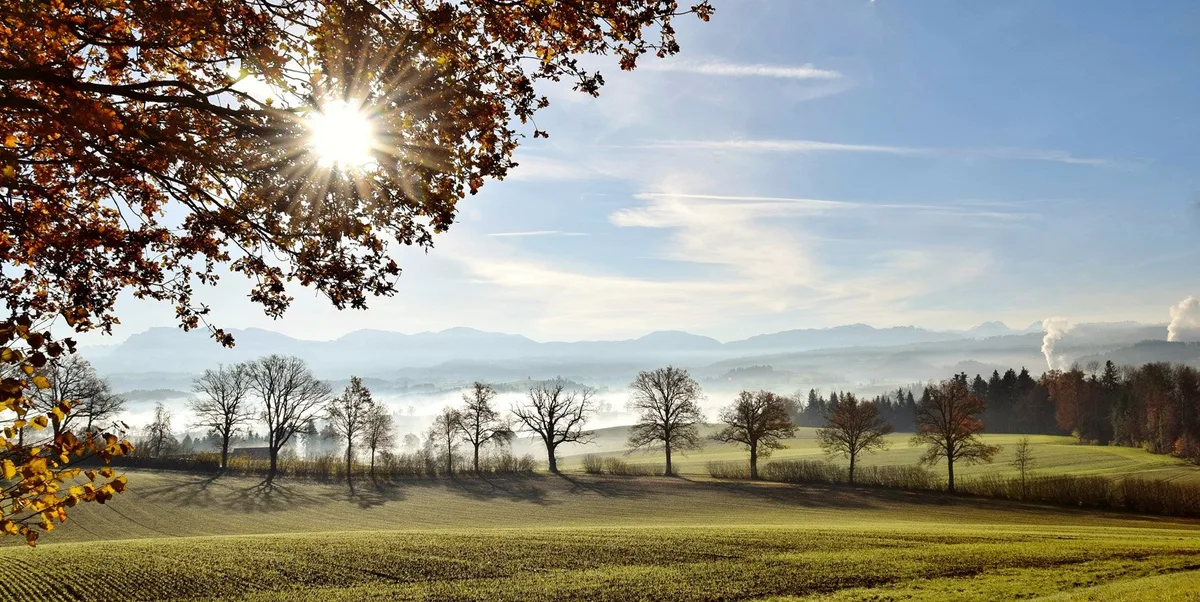 Ökonomischer Sonnenschein trotz Trockenheit: Die Einkommen legten 2018 zu. (Bild Archiv)