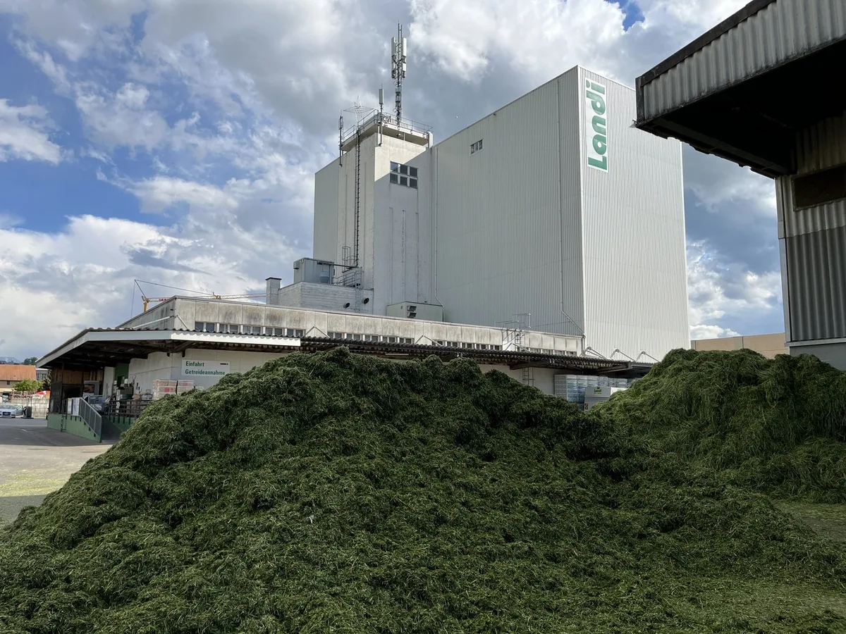 dueIMG_2525 Nach Fusion und Rekordernte: Landi Düdingen-Guin investiert in die Zukunft