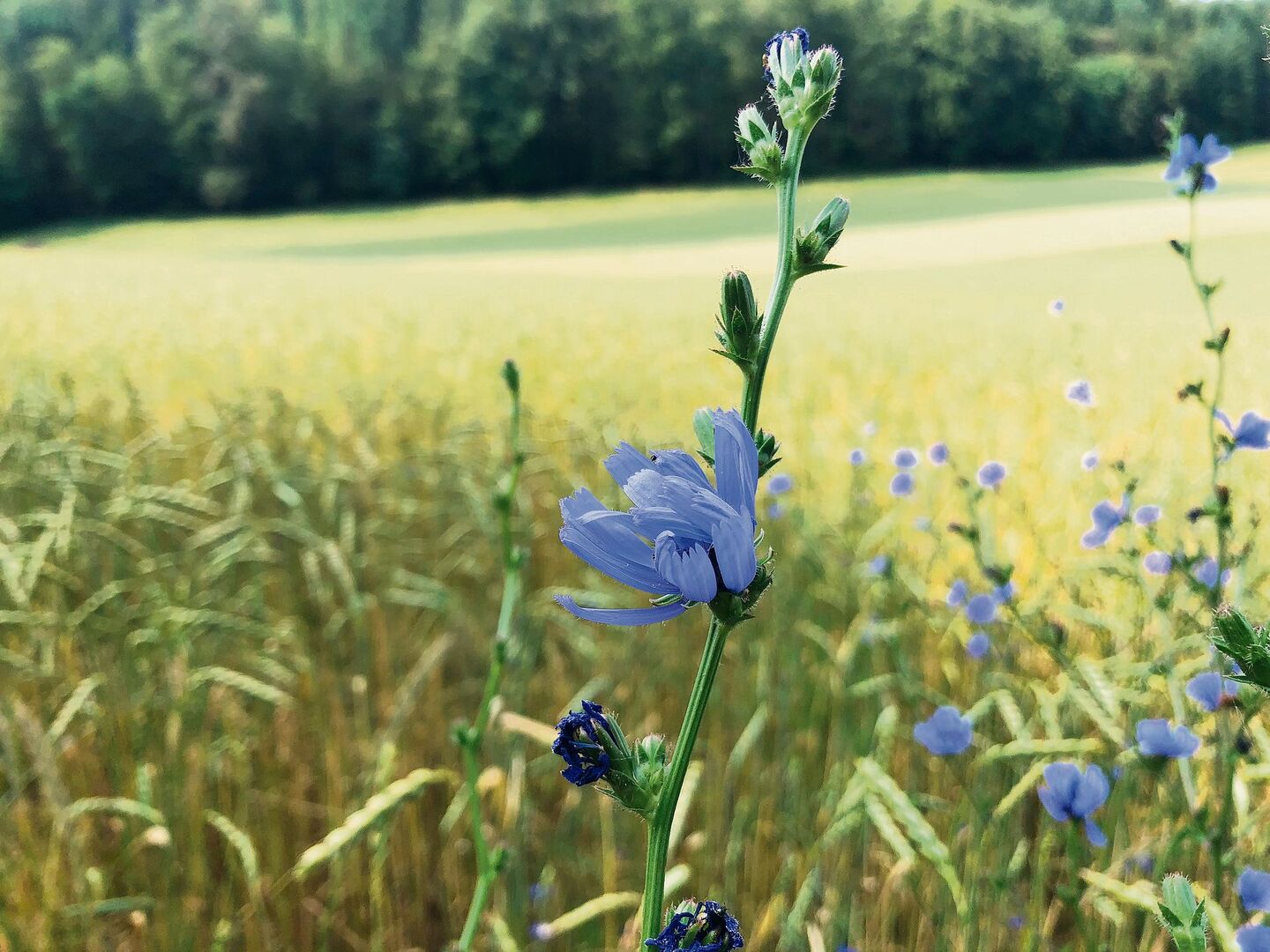 Neues auf einen Blick – das ändert bei Biodiversitäts-Beiträgen