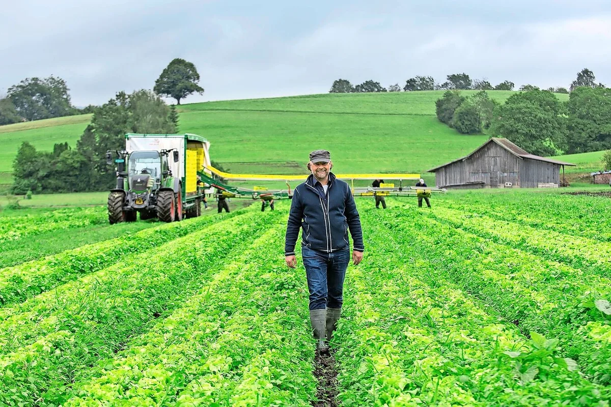 608c03235121ed77150a957f9ae34c575b6cc9e572c8d838031513a759ead8a2 Der Chef auf dem Feld: Auf dem Biogemüsebetrieb von Christian Gerber im Zürcher Oberland kommen durchaus auch grosse Maschinen wie Erntewagen zum Einsatz.