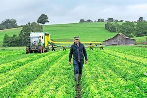 Der Chef auf dem Feld: Auf dem Biogemüsebetrieb von Christian Gerber im Zürcher Oberland kommen durchaus auch grosse Maschinen wie Erntewagen zum Einsatz.