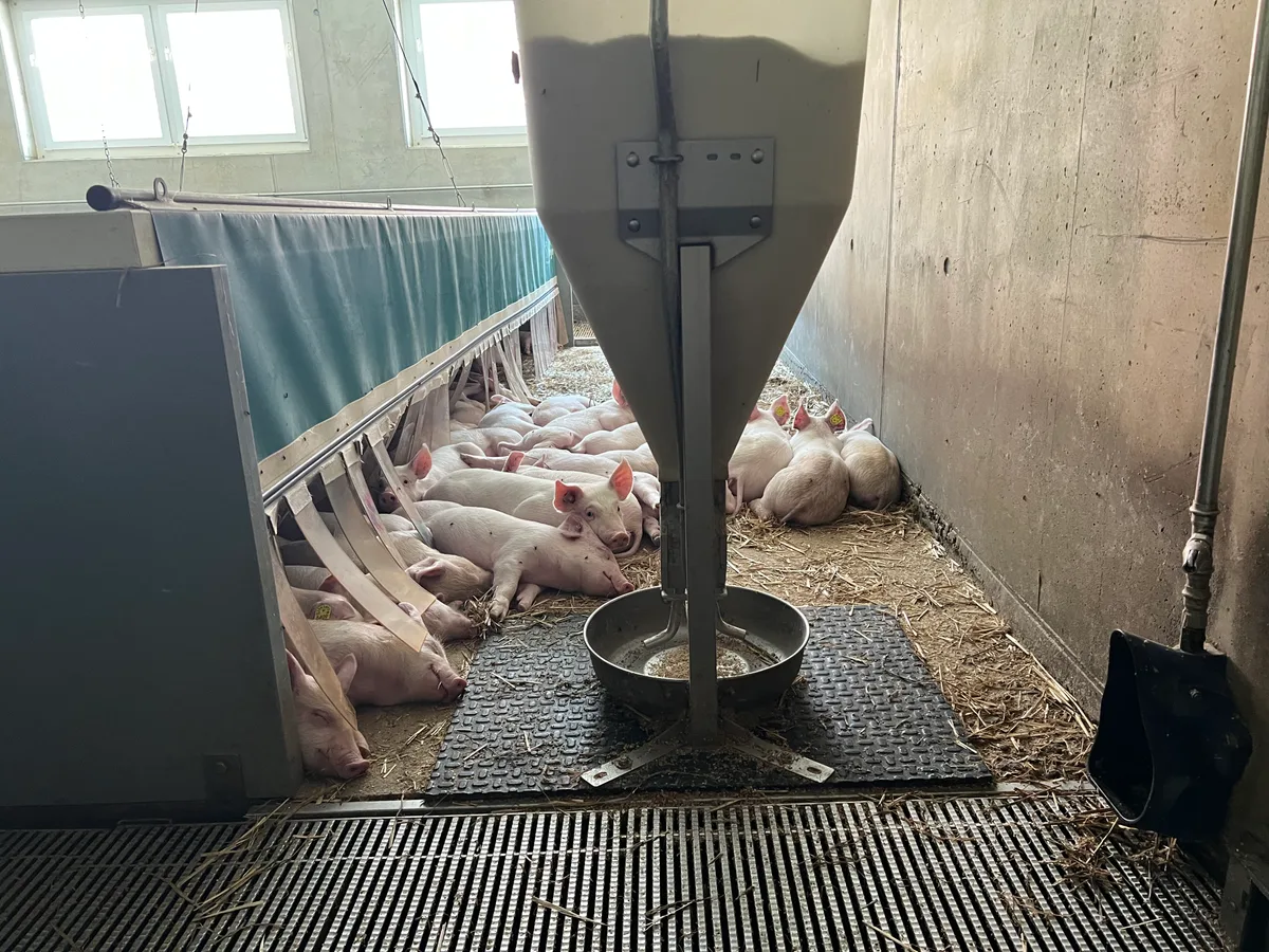 Zufriedene Jager: Etwas mehr Ruhe und Stabilität im Schweinemarkt wünschen sich offenbar viele der Akteure in der Wertschöpfungskette Schweineproduktion.