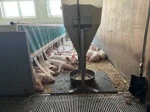 Zufriedene Jager: Etwas mehr Ruhe und Stabilität im Schweinemarkt wünschen sich offenbar viele der Akteure in der Wertschöpfungskette Schweineproduktion.
