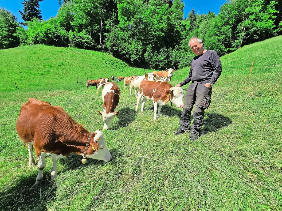 Andreas Schneider inmitten seiner Rinder und Kühe: Mit ihnen produziert er nicht nur Fleisch, sondern auch Muka-Milch in Demeter-Qualität. Verarbeitet wird sie in der Bio-Käserei in Worb.