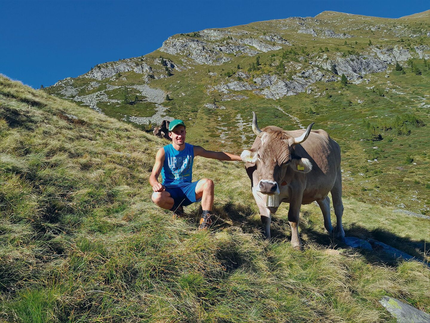 Matteo Ambrosini und seine Lieblingskuh Gioa auf der Alpe Porcaresc im Valle Onsernone im Tessin.