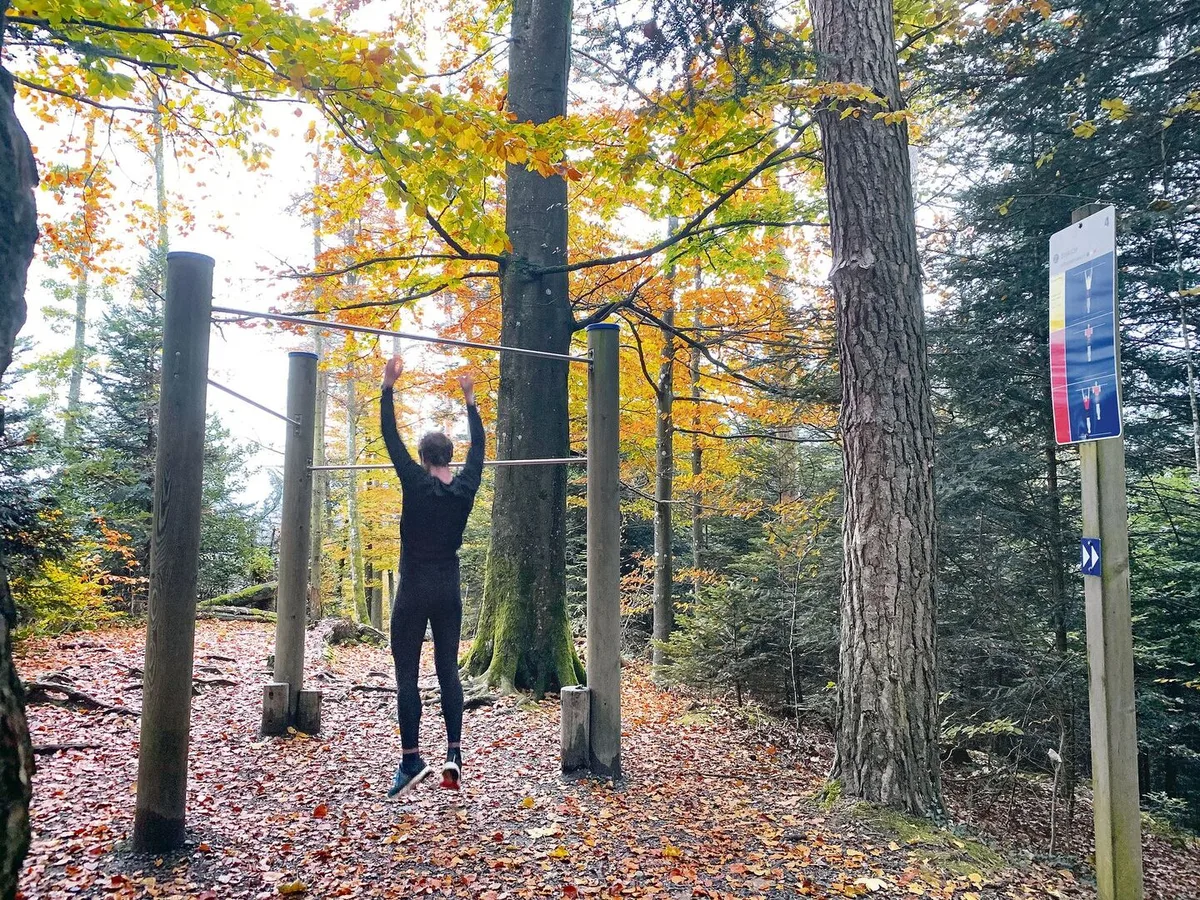 Der Wald ist für viele Leute ein kostenloser Erholungsraum. Die Pflege ist aber aufwendig; dafür sollen die Nutzniesser künftig mehr zur Kasse gebeten werden.