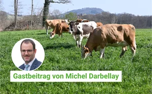 Drastische Massnahmen im Kampf gegen die Lumpy-Skin-Krankheit: Impfungen und strikte Tierverkehrsbeschränkungen bleiben unerlässlich.