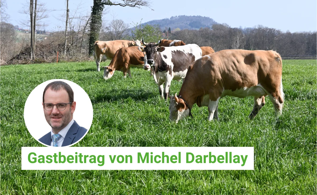 Artikel_BauZ_Gastbeitrag Gemeinsam gegen die Lumpy-Skin-Krankheit