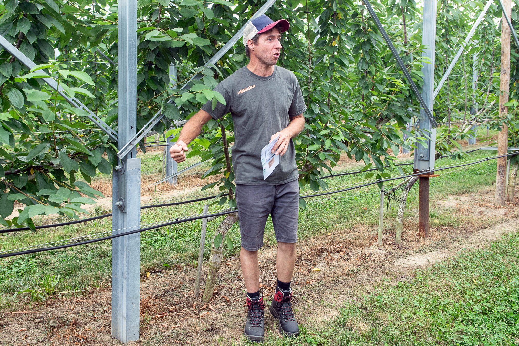 Hansjörg Erne von der Betriebszweiggemeinschaft "Chilspeler Obst" erklärt den Teilnehmenden, wie die Agri-PV-Anlage gebaut wurde.