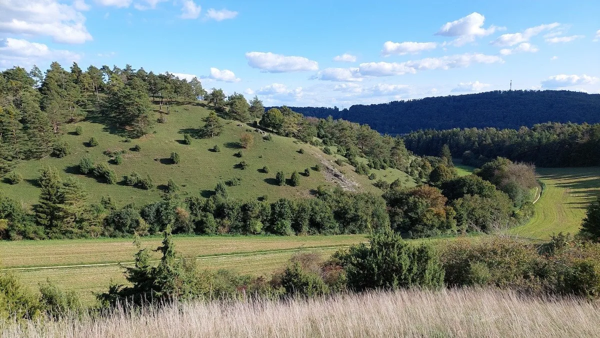 schafweide_zueger Ökologen-Komitee: «Wolfspolitik ist ein Naturschutz-Problem»