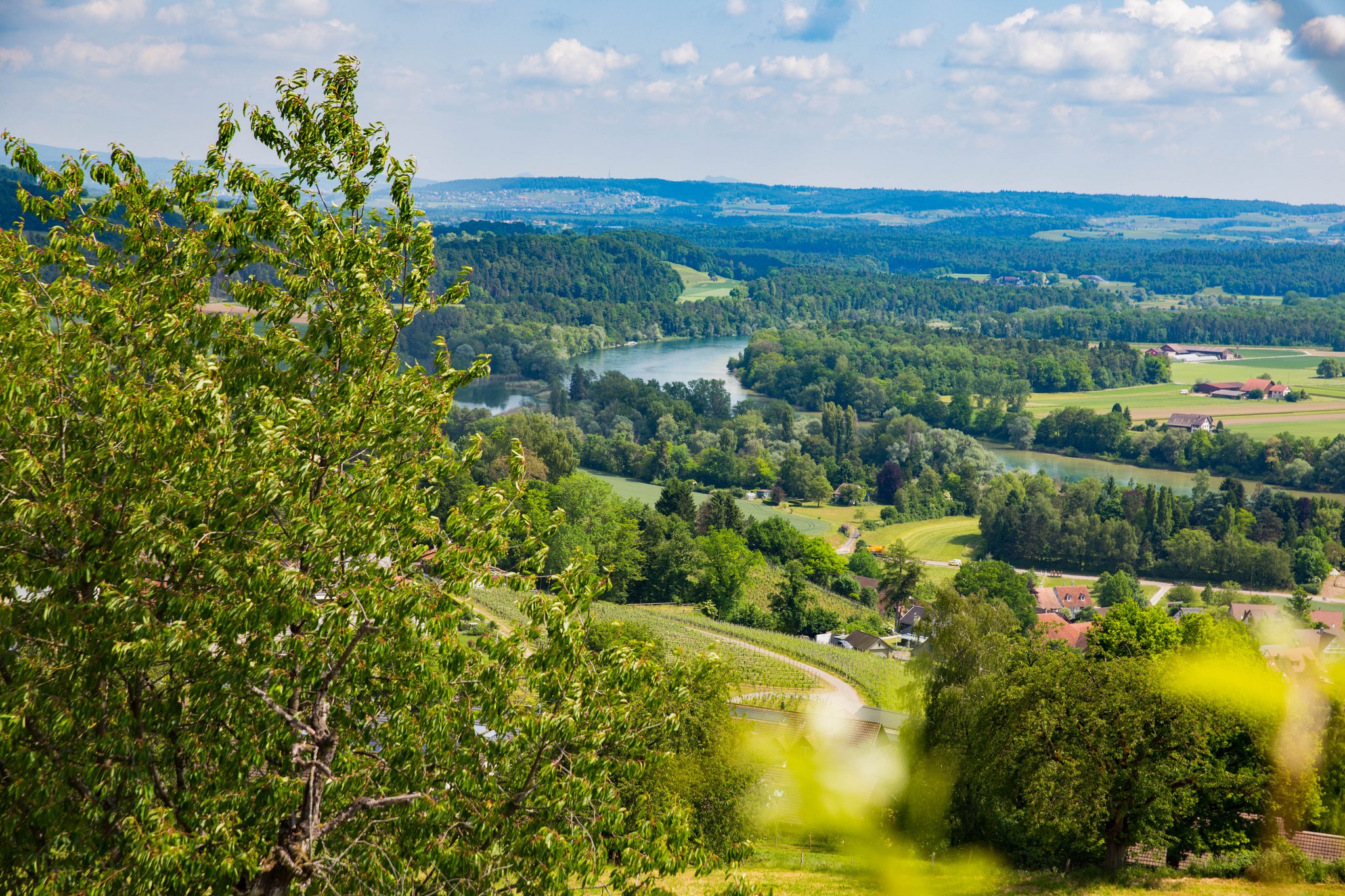 Der regionale Naturpark Schaffhausen sorgt für volkswirtschaftliche Impulse